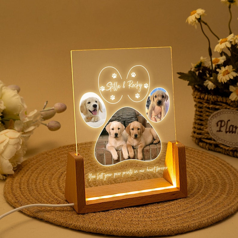 Personalized Pet Memorial LED Night Light, Pet Loss Acrylic Frame, Pet Photo Light, Dog Cat Loss Sympathy Gift, Christmas Gifts for Dog Mom