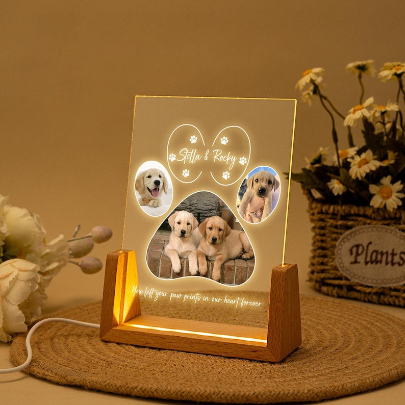 Personalized Pet Memorial LED Night Light, Pet Loss Acrylic Frame, Pet Photo Light, Dog Cat Loss Sympathy Gift, Christmas Gifts for Dog Mom