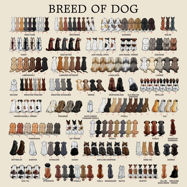 Personalized New Parents Ornament, Family With Pets, Baby Announcement Christmas Ornament, Expecting Family Christmas Ornament With Dog Cat