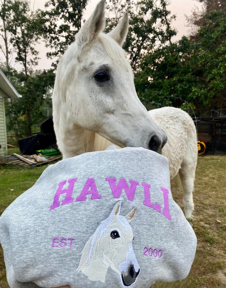 Custom Embroidered Horse Sweatshirt Custom Embroidered Varsity Pet From Your Photo Sweatshirt,Hoodie with Dog Name,Dog Owner Gift