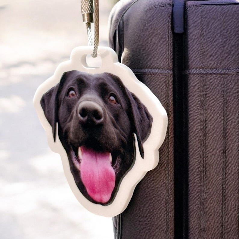 Custom Luggage Tag, Pet Photo Name Tag, Travel Accessories, Bag Tag, Backpack Tag, Travel Gift, Personalized Luggage Tag for Dog Mom Gift