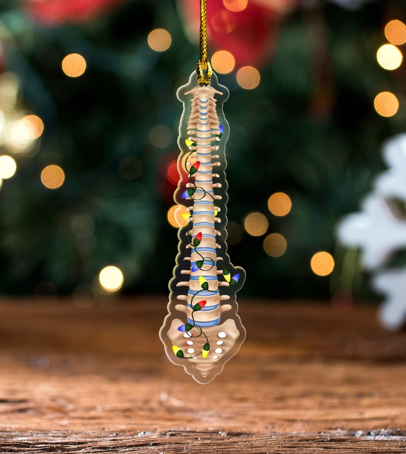 Personalized Christmas Spine Anatomy Ornament Unique Medical Decor for Doctors and Medical Enthusiasts