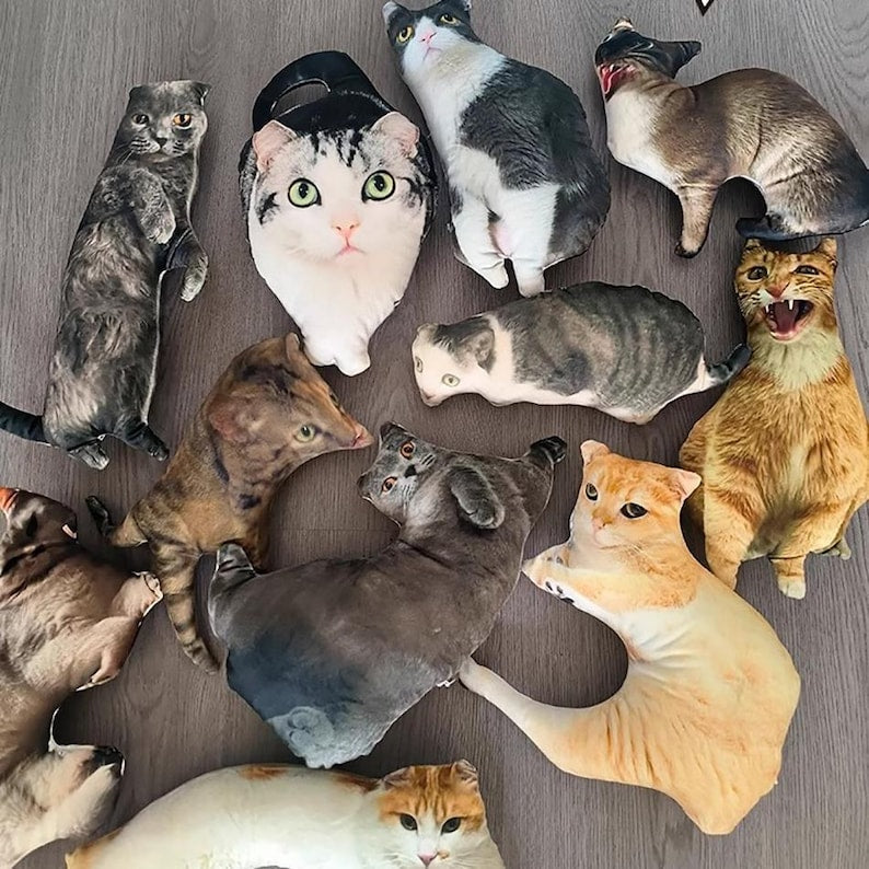 Custom ugly pillow,Ugly pillow, Hot Ugly Cat, pillow gift for friend, Funny Gifts, Birthday Gifts, Christmas Gifts,Custom Realistic Pillow