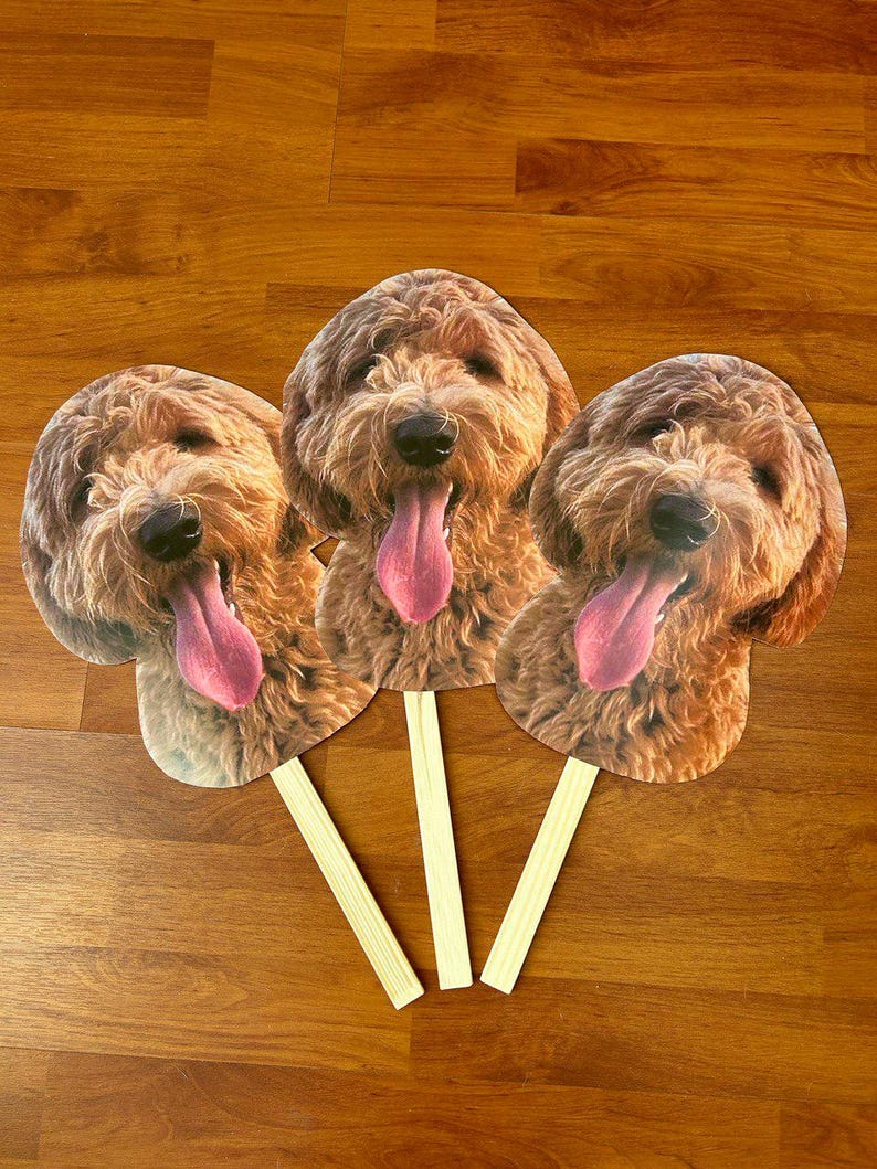 Big Head on Stick, Pet Face on Stick, Dog Big Heads, Cat Big Heads, Gift for Dog Mom, Gift for Pet Owners, Wedding Props, Photo booth Prop