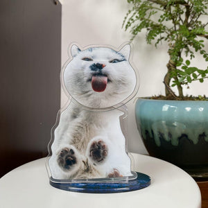 Custom Acrylic Pet Photo Bobblehead, Personalized Cat\Dog Picture shake head Ornament, Unique Auto Decoration, Novel Gifts for Dad Boyfriend