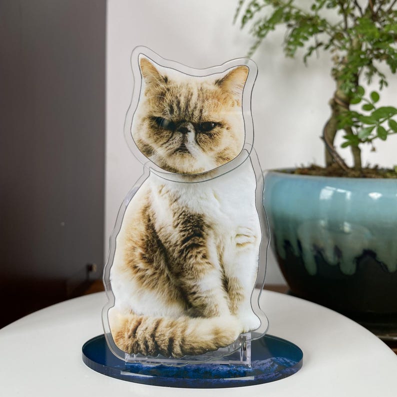 Custom Acrylic Pet Photo Bobblehead, Personalized Cat\Dog Picture shake head Ornament, Unique Auto Decoration, Novel Gifts for Dad Boyfriend