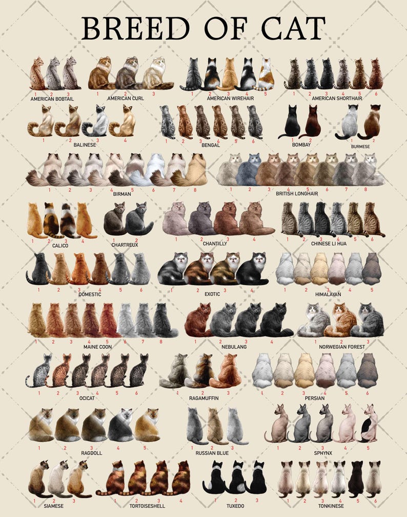 Personalized New Parents Ornament, Family With Pets, Baby Announcement Christmas Ornament, Expecting Family Christmas Ornament With Dog Cat