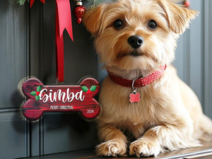 Personalized Dog Bone Christmas Ornament, Custom Pet Name Ornament, Pet Memorial Ornament, New Puppy Ornament, First Christmas Keepsake
