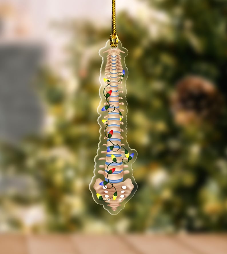 Personalized Christmas Spine Anatomy Ornament Unique Medical Decor for Doctors and Medical Enthusiasts