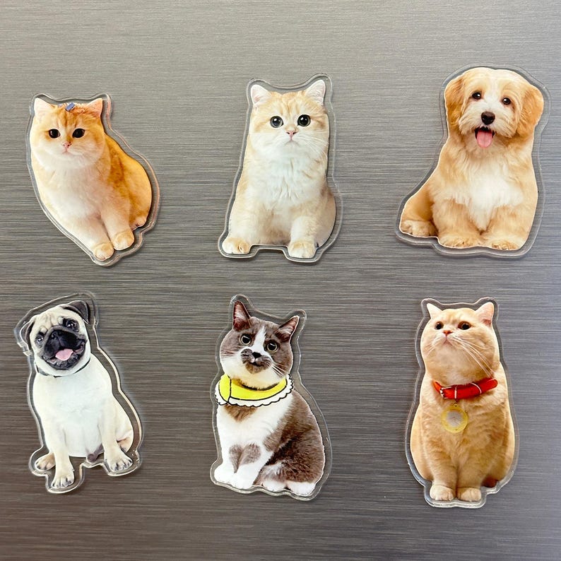 Custom Pet Magnet | Personalized Pet Face Magnet | Dog Cat Fridge Magnet | Pet Memorial Gift | Unique Home Decor for Pet Lovers