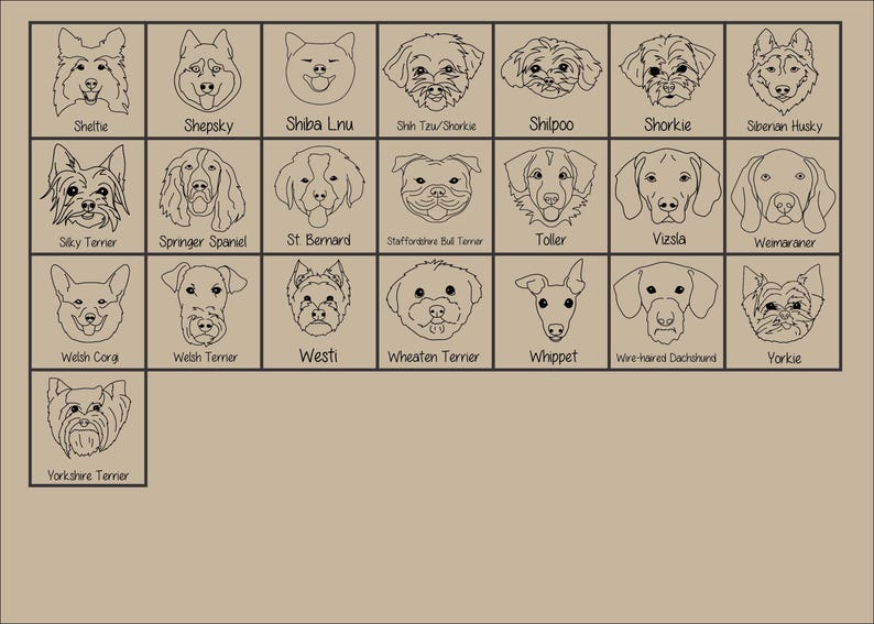 New Best Friend Onesie, Newborn Gift, Dog Lover, Custom Baby Onesie, New Baby Gift, Dog, Dog Portrait, Custom Dog, Coming Home Outfit