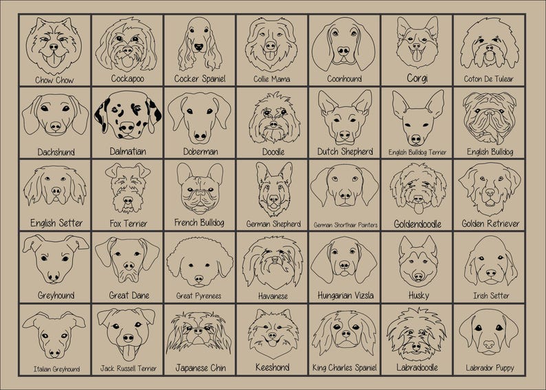 New Best Friend Onesie, Newborn Gift, Dog Lover, Custom Baby Onesie, New Baby Gift, Dog, Dog Portrait, Custom Dog, Coming Home Outfit