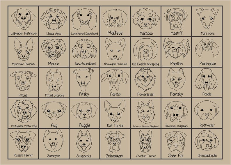 New Best Friend Onesie, Newborn Gift, Dog Lover, Custom Baby Onesie, New Baby Gift, Dog, Dog Portrait, Custom Dog, Coming Home Outfit