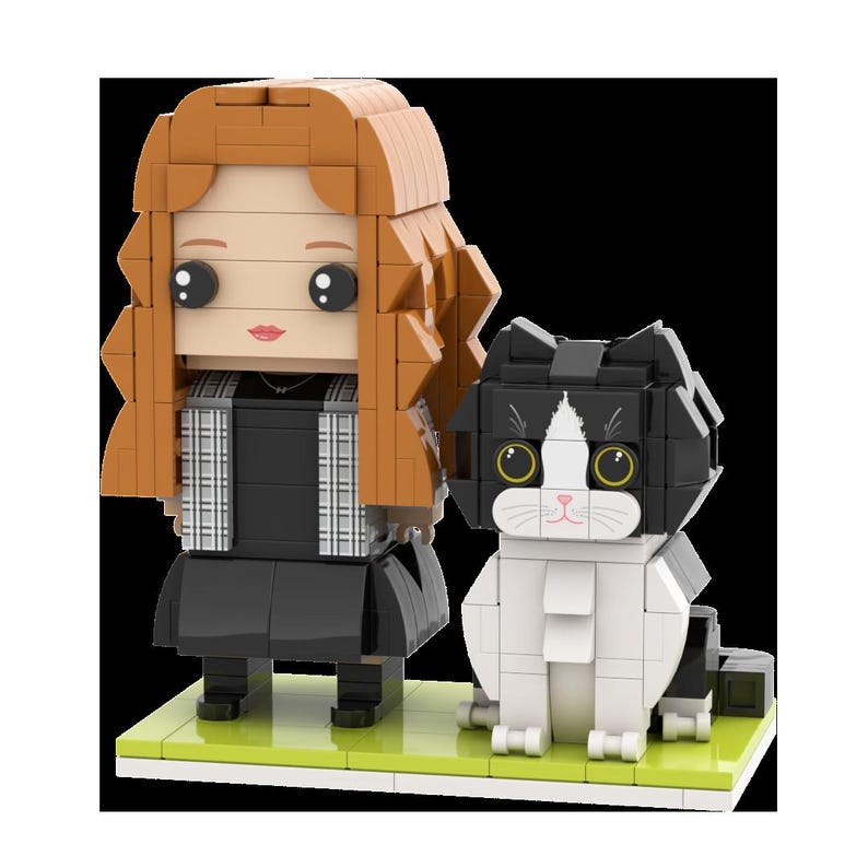 Custom Full Body Brick Figures, Personalized Cat Brick Figures, Customizable Small Block Toy, Unique Gift for Cat Lovers, Toy Decor