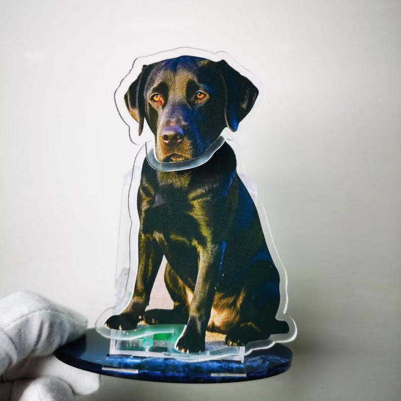 Custom Acrylic Pet Photo Bobblehead, Personalized Cat\Dog Picture shake head Ornament, Unique Auto Decoration, Novel Gifts for Dad Boyfriend