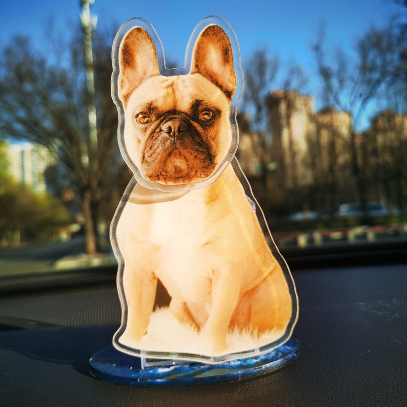 Custom Acrylic Pet Photo Bobblehead, Personalized Cat\Dog Picture shake head Ornament, Unique Auto Decoration, Novel Gifts for Dad Boyfriend