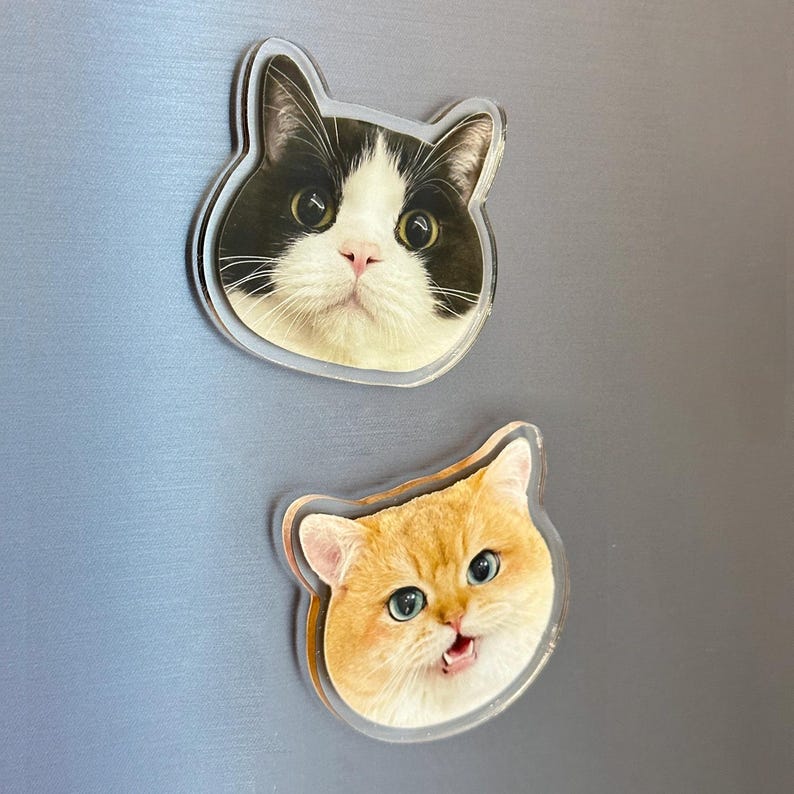 Custom Pet Magnet | Personalized Pet Face Magnet | Dog Cat Fridge Magnet | Pet Memorial Gift | Unique Home Decor for Pet Lovers