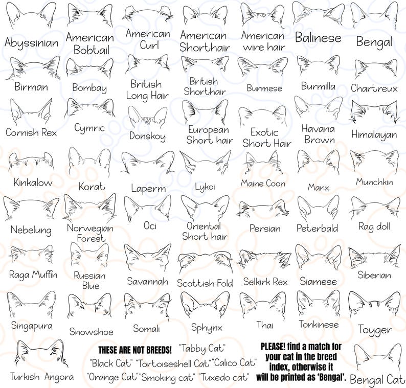 Custom Dog and Cat Ears Sweatshirt Dog Mom Sweatshirt Dog Lover Sweatshirt Custom Dog Cat Sweatshirt Cat Dad shirt Pet Lover Gift for Him