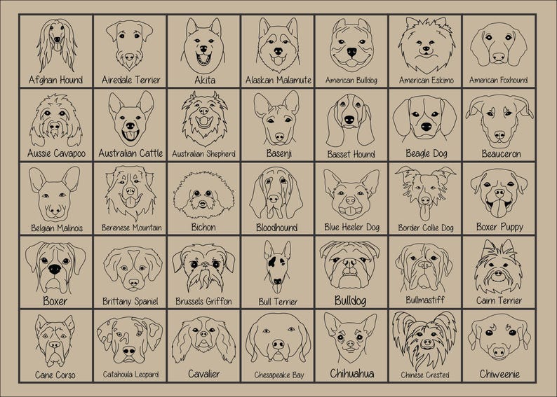 New Best Friend Onesie, Newborn Gift, Dog Lover, Custom Baby Onesie, New Baby Gift, Dog, Dog Portrait, Custom Dog, Coming Home Outfit