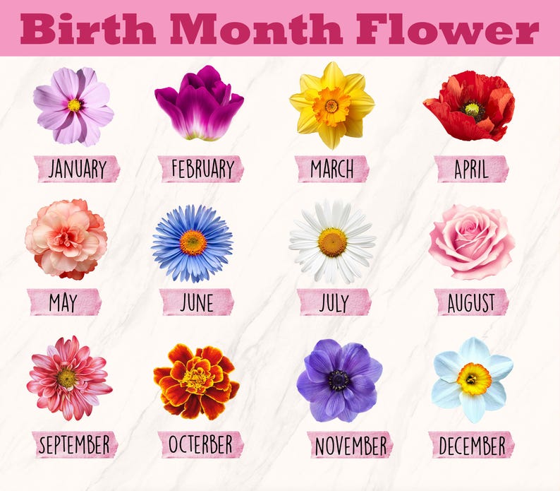 Personalized Best Friend Birth Month Flower Stained Glass Suncatcher, Friendship Gift, Best Friend Gifts, Bestie Gifts, Friendship Ornament