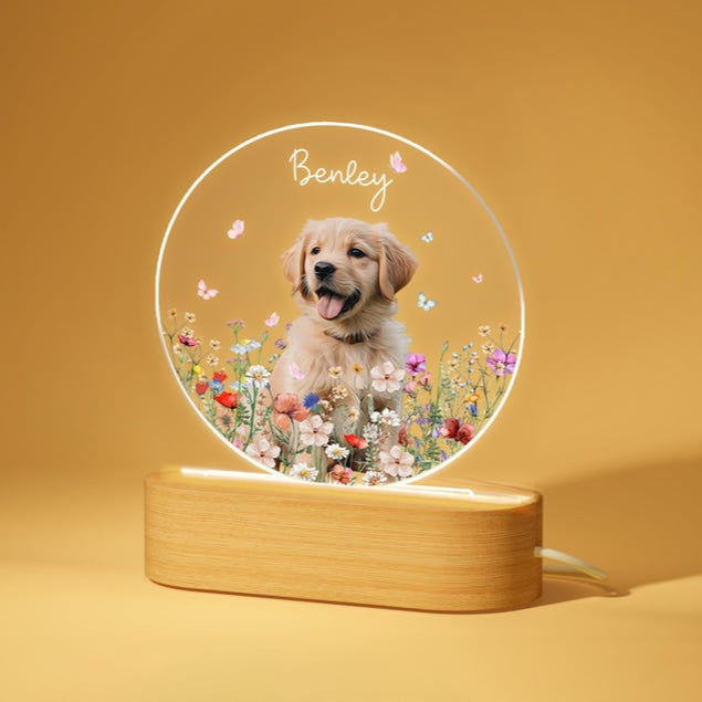 Custom Pet Portrait Night Light, Pet Memorial Gift, Dog Mom Gift, Pet Photo Lamp, Gift For Dog Lover, Dog Loss Gift, Sympathy Gift