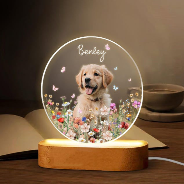 Custom Pet Portrait Night Light, Pet Memorial Gift, Dog Mom Gift, Pet Photo Lamp, Gift For Dog Lover, Dog Loss Gift, Sympathy Gift