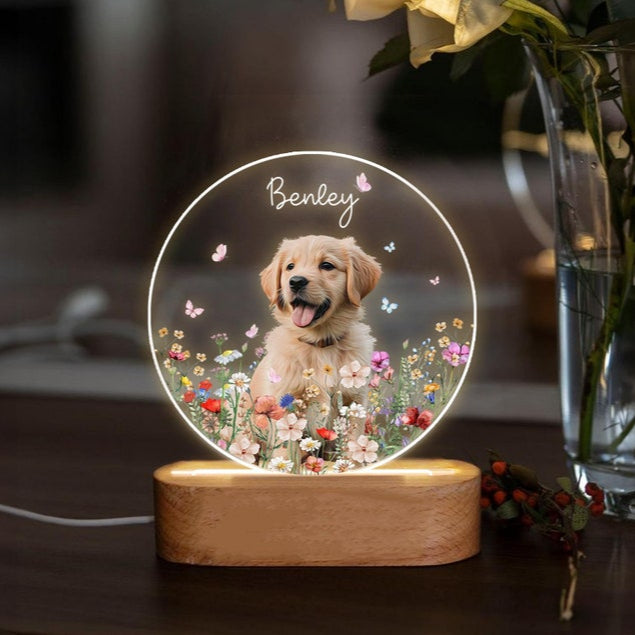 Custom Pet Portrait Night Light, Pet Memorial Gift, Dog Mom Gift, Pet Photo Lamp, Gift For Dog Lover, Dog Loss Gift, Sympathy Gift