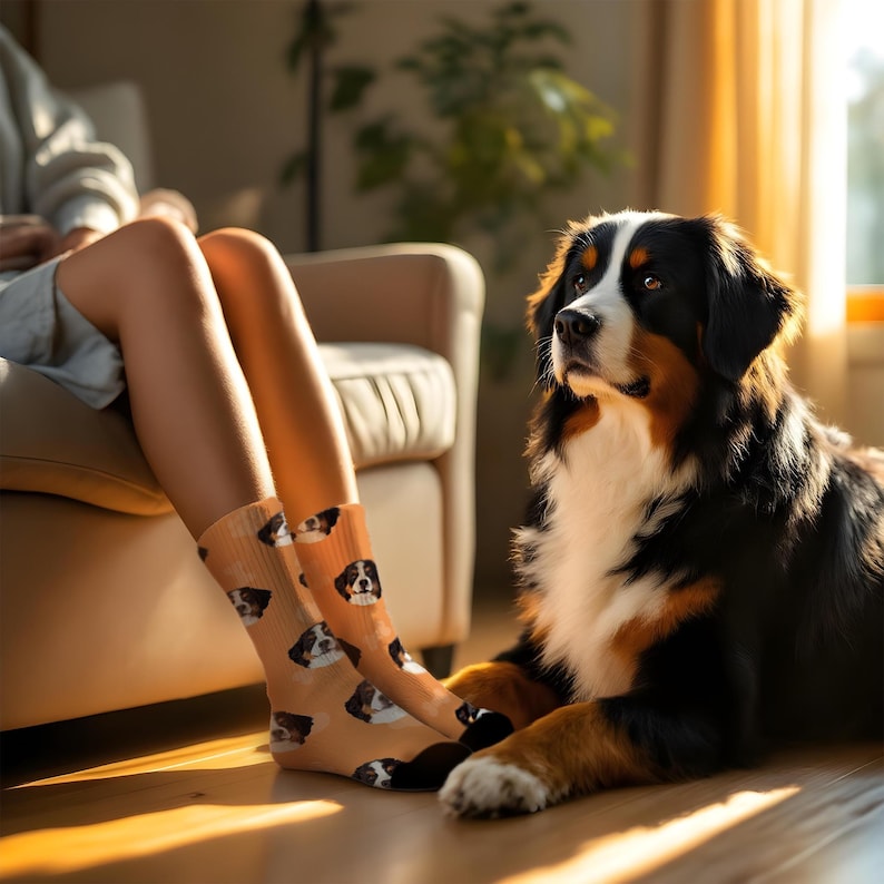Custom Face Socks from Photo Personalized Cat Dog Funny Socks - Mens Socks for Grooms Cute Pet Socks with Face