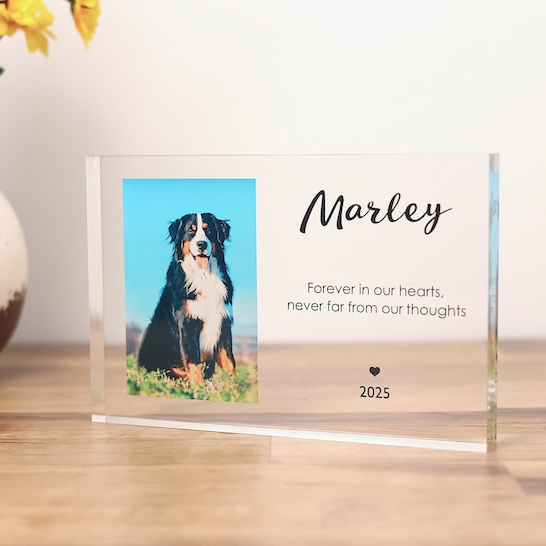Dog Pet Memorial Gift Plaque, Pet Memorial Keepsake, Pet Bereavement Gift, Dog Cat Loss Sympathy Gift, Acrylic Photo Block