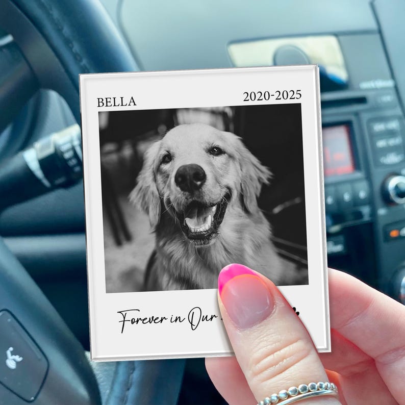 Custom Dog Photo Memorial Visor Clip, Pet Photo Sun Visor Clip, Dog Lover Sympathy Gifts, Loss Of Pet Keepsake, Gift For Dad Dog, Pet Lover