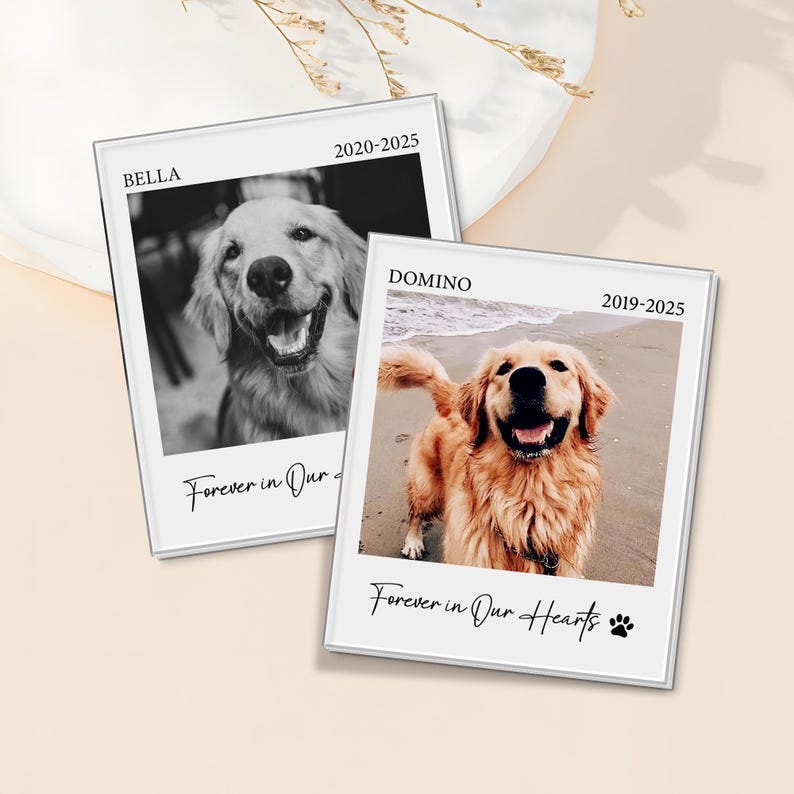 Custom Dog Photo Memorial Visor Clip, Pet Photo Sun Visor Clip, Dog Lover Sympathy Gifts, Loss Of Pet Keepsake, Gift For Dad Dog, Pet Lover