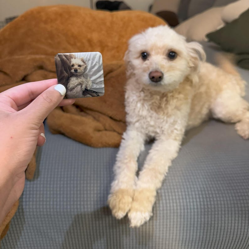 Personalized Fridge Magnets, Custom Pet Photo Gift, Dog Mom Present, Gifts for Dog Lovers, Gifts for Dog Owners, Photo Magnets, Pet Memorial