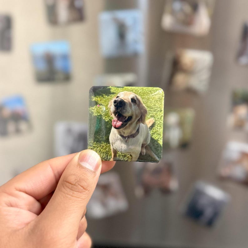 Personalized Fridge Magnets, Custom Pet Photo Gift, Dog Mom Present, Gifts for Dog Lovers, Gifts for Dog Owners, Photo Magnets, Pet Memorial