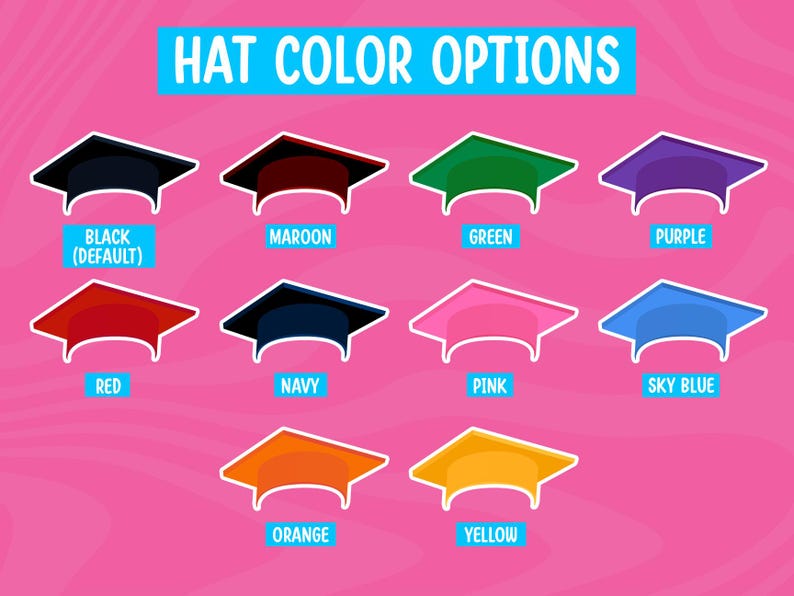 Graduation Face on a Stick, Big head on a stick, face fan decorations, Graduation Party Favors, Bachelorette and Birthday