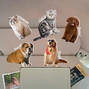 Custom Sun Visor Clip, Photo Car Visor Clip, Personalized Photo Car Decoration, Custom Dog Car Visor Clip, Custom Pet Face Dog Face Cat Face