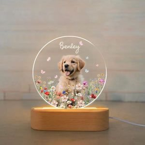 Custom Pet Portrait Night Light, Pet Memorial Gift, Dog Mom Gift, Pet Photo Lamp, Gift For Dog Lover, Dog Loss Gift, Sympathy Gift