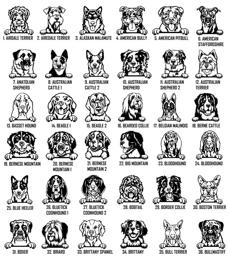 Personalized Peeking dogs Metal Wall Coat Hanger, Dog leash holder, Keys Holder, Hook Rack, Clothes Hook, Porch Organizer, Home Decor