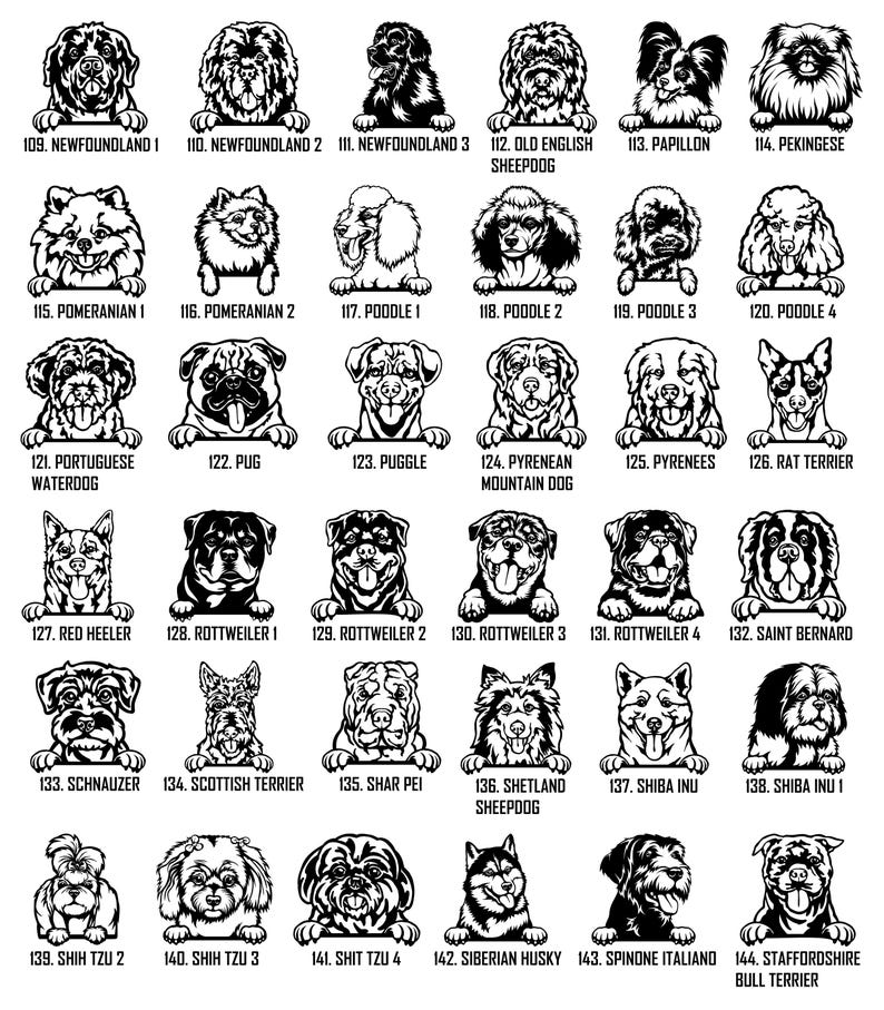 Personalized Peeking dogs Metal Wall Coat Hanger, Dog leash holder, Keys Holder, Hook Rack, Clothes Hook, Porch Organizer, Home Decor