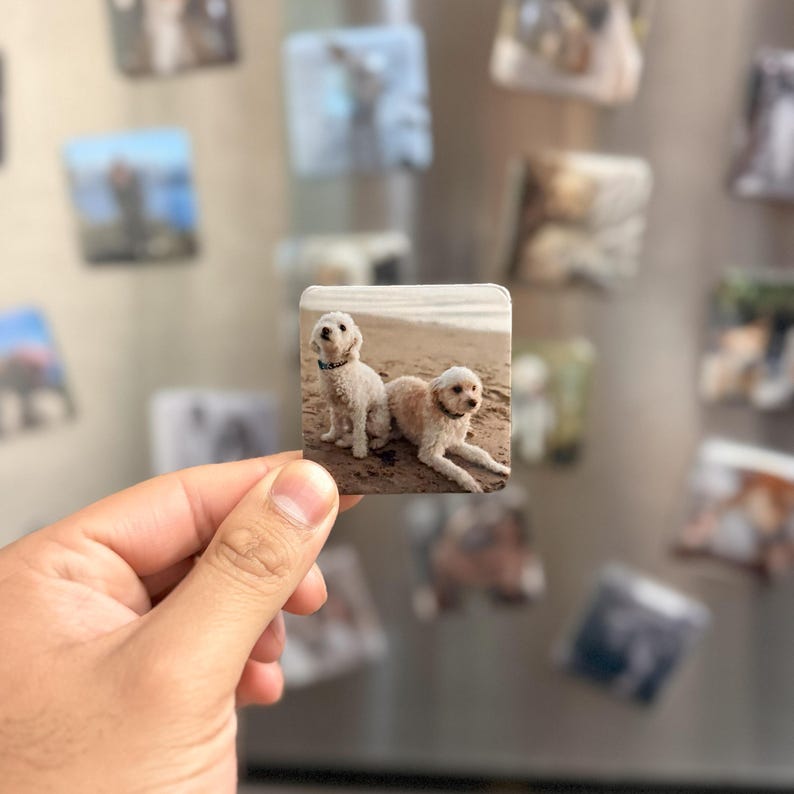 Personalized Fridge Magnets, Custom Pet Photo Gift, Dog Mom Present, Gifts for Dog Lovers, Gifts for Dog Owners, Photo Magnets, Pet Memorial