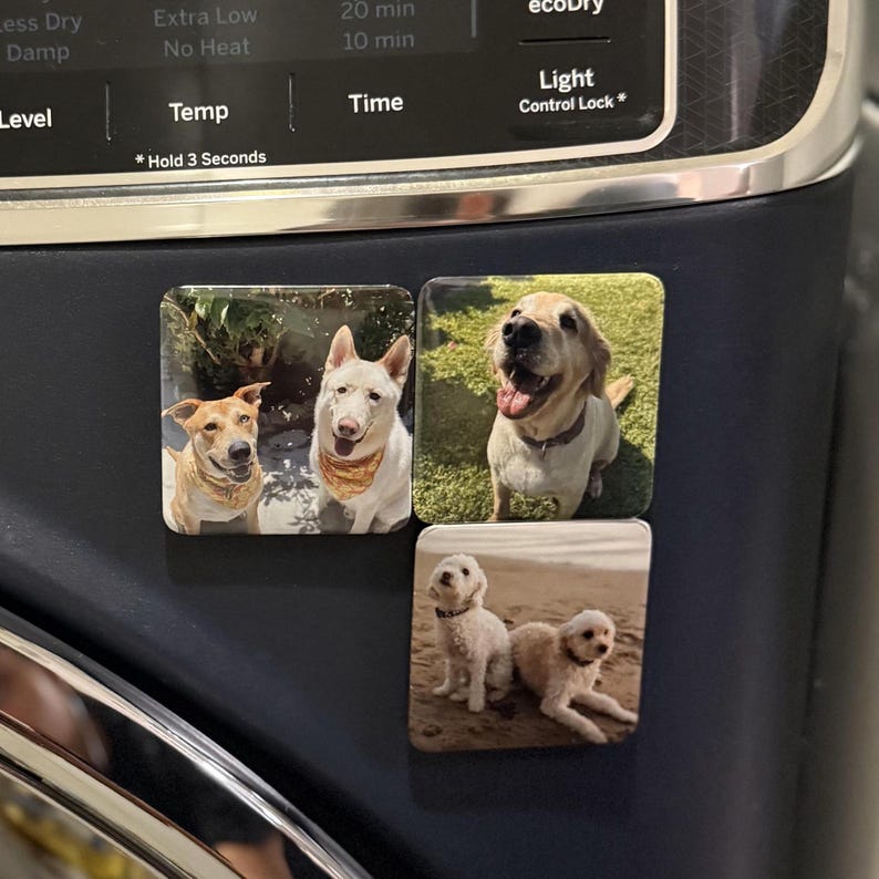 Personalized Fridge Magnets, Custom Pet Photo Gift, Dog Mom Present, Gifts for Dog Lovers, Gifts for Dog Owners, Photo Magnets, Pet Memorial