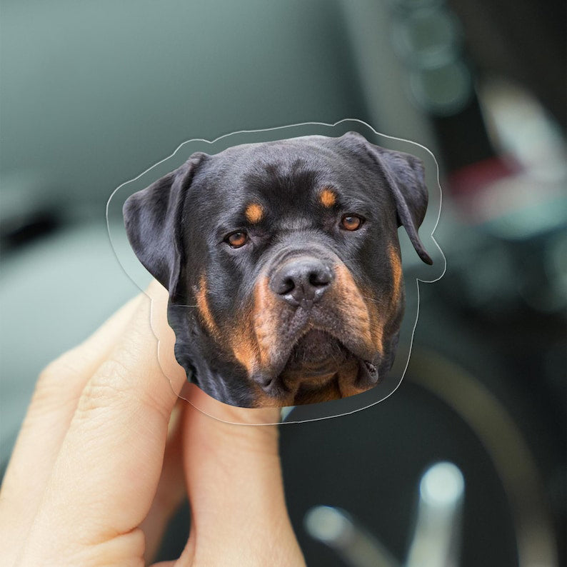 Custom Personalised Pet Acrylic Visor Clip, Cat Dog Car Vent Clip, Decoration Acrylic Blank Car Vent, Custom Photo, Custom Pet Car Clip
