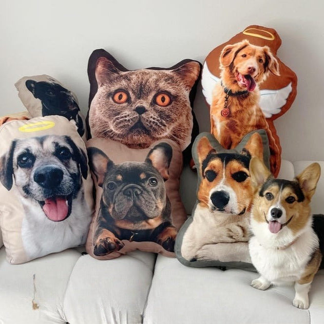 Custom Pet Pillow, Dog Throw Pillow 3D Pillow Pet Photo Pet Cat Pillow Custom, Personalized Pet Pillow