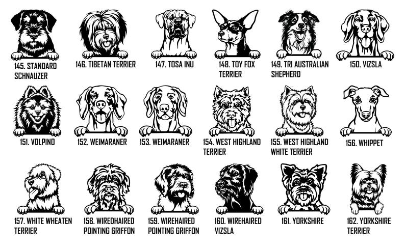 Personalized Peeking dogs Metal Wall Coat Hanger, Dog leash holder, Keys Holder, Hook Rack, Clothes Hook, Porch Organizer, Home Decor