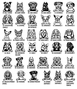 Personalized Peeking dogs Metal Wall Coat Hanger, Dog leash holder, Keys Holder, Hook Rack, Clothes Hook, Porch Organizer, Home Decor