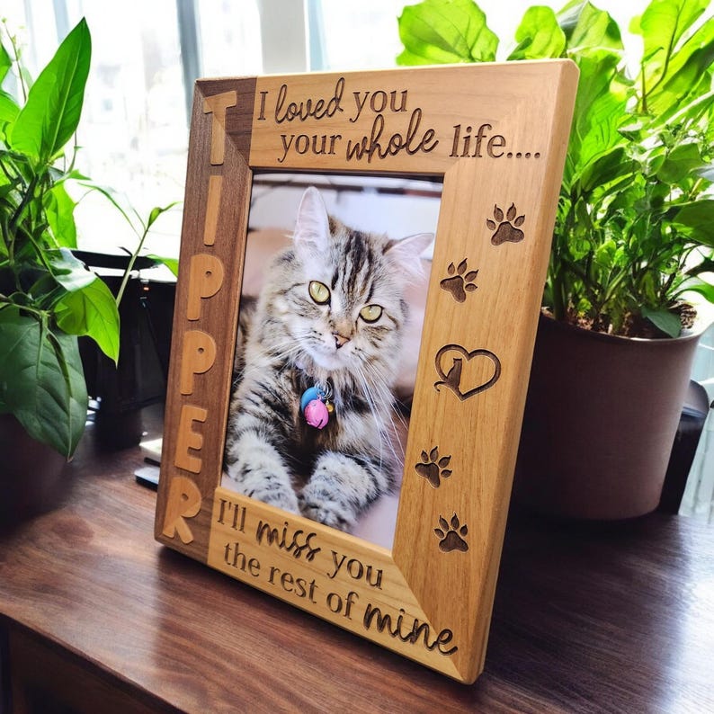 Cat Remembrance Memorial Picture Frame | Personalized Cat Sympathy Gift Tribute | Loss Gift | Pet Loss | Pet Memorial