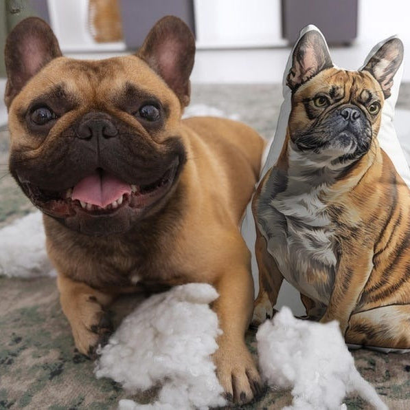 Custom Pet Pillow Using Pet Photo Custom Shaped Cat Dog Pillow New Launch Sale Personalized Shaped Pillow Custom 3D Shape Pet Pillow Gift