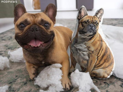 Custom Pet Pillow Using Pet Photo Custom Shaped Cat Dog Pillow New Launch Sale Personalized Shaped Pillow Custom 3D Shape Pet Pillow Gift