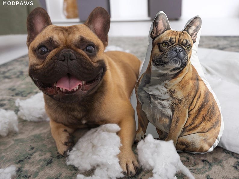 Custom Pet Pillow Using Pet Photo Custom Shaped Cat Dog Pillow New Launch Sale Personalized Shaped Pillow Custom 3D Shape Pet Pillow Gift