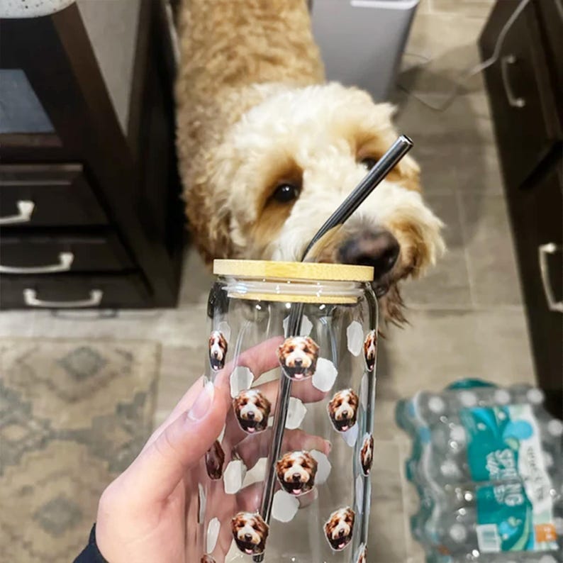 Custom 16oz Pet Photo Can Glass Cup, Personalized Iced Coffee Portrait Mug Christmas Trend Gift for Dog Lover, Boho Cat Cup with Lid &Strawt