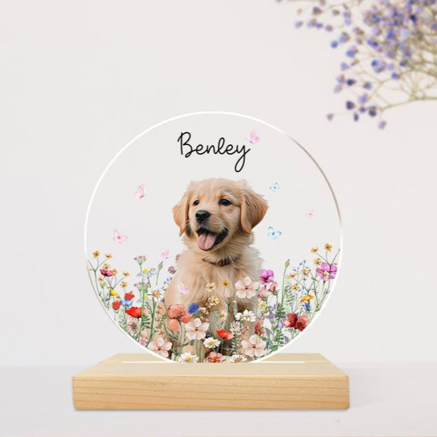 Custom Pet Portrait Night Light, Pet Memorial Gift, Dog Mom Gift, Pet Photo Lamp, Gift For Dog Lover, Dog Loss Gift, Sympathy Gift